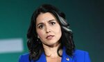 Tulsi Gabbard 2020 Platform